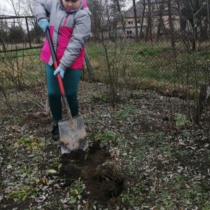 Drzewo dla klimatu- Oliwia Gałek kl. 2b