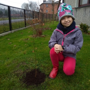 Drzewo dla klimatu-Klara Włodarczyk kl. 3a