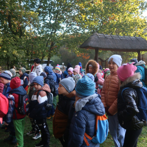 Uczniowie kl. 2a,b i 3 s na wycieczce do Nadleśnictwa Dąbrowa Tarnowska. Dzieci ubrane w kolorowe jesienne ubrania znajdują się w lesie. Kliknięcie na zdjęcie spowoduje jego powiększenie do rozmiaru oryginalnego.