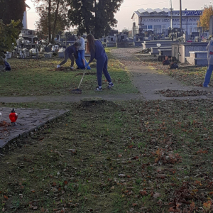 Uczniowie Zespołu Szkół w Szczurowej grabią liście na Cmentarzu Parafialnym w Szczurowej. Dzieci sprzątają groby żołnierskie. Kliknięcie na zdjęcie spowoduje jego powiększenie do rozmiaru oryginalnego.