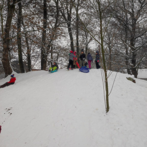 Dzieci z kl. 3 a znajdują się na górce. Przygotowują do zjazdu z niej. W tle drzewa. Kliknięcie na zdjęcie spowoduje jego powiększenie do rozmiaru rzeczywistego.