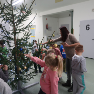 Uczniowie kl. 1 b wraz z wychowawcą zawieszają na szkolnej choince ozdoby. Dzieci zgromadzone wokoło żywego drzewka wieszają na gałązkach różne ozdoby. Kliknięcie na zdjęcie spowoduje jego powiększenie do rozmiaru oryginalnego.