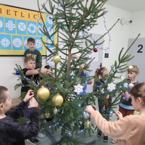 Uczniowie kl. 2 b dekorują na szkolnym korytarzu żywą choinkę. Dzieci ozdabiają je kolorowymi bombkami, śnieżynkami, soplami oraz innymi ozdobami. Kliknięcie na zdjęcie spowoduje jego powiększenie do rozmiaru oryginalnego.