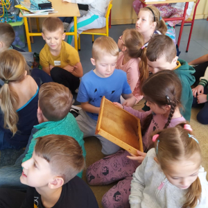Uczniowie kl. 1 a siedzą w siadzie skrzyżnym na podłodze w swojej klasie. Dzieci oglądają plaster miodu przyniesiony przez p. Józefa Przybyło. Kliknięcie na zdjęcie spowoduje jego powiększenie do rozmiaru oryginalnego. 