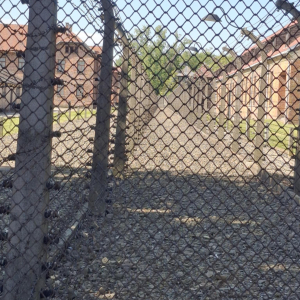 Budynki znajdujące się na terenie obozu koncentracyjnego w Oświęcimiu. Kliknięcie na zdjęcie spowoduje jego powiększenie do rozmiaru oryginalnego.