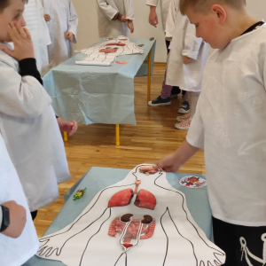 Uczniowie układają organy ludzkie na schemacie ciała człowieka. Kliknięcie na zdjęcie spowoduje jego powiększenie do rozmiaru oryginalnego.