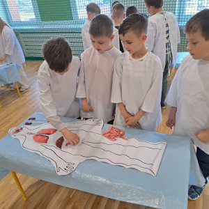 Grupka uczniów klasy 2 b uzupełnia schemat ciała człowieka brakującymi narządami. Kliknięcie na zdjęcie spowoduje jego powiększenie do rozmiaru oryginalnego.