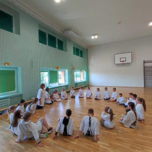 Uczniowie klas 1-3 siedzą w kole na sali gimnastycznej. Biorą udział w warsztatach medycznych. Kliknięcie na zdjęcie spowoduje jego powiększenie do rozmiaru oryginalnego.