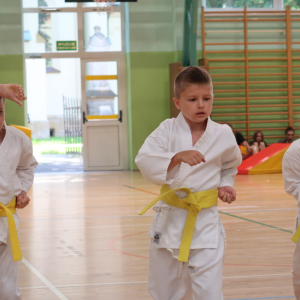 Pokaz karate w wykonaniu uczniów klas 1-3 naszej szkoły. Kliknięcie na zdjęcie spowoduje jego powiększenie do rozmiaru oryginalnego.