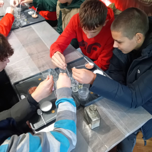 Chłopcy z klasy 8 b przeprowadzają doświadczenia w trakcie warsztatów chemicznych na zamku.  Kliknięcie na zdjęcie spowoduje jego powiększenie do rozmiaru oryginalnego.