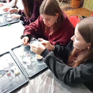 Uczennice klasy 8 a w trakcie warsztatów chemicznych na zamku w Nowym Wiśniczu.  Kliknięcie na zdjęcie spowoduje jego powiększenie do rozmiaru oryginalnego.