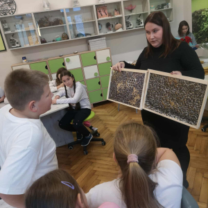 Pani prezentuje plasty miodu umieszczone w ramkach w ramach warsztatów. Kliknięcie na zdjęcie spowoduje jego powiększenie do rozmiaru oryginalnego.