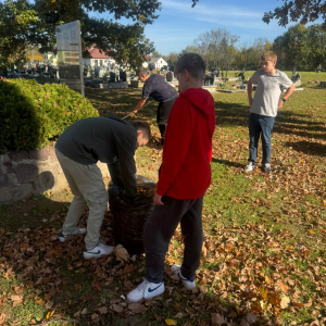 Uczniowie wrzucają liście do worków zgrabione z cmentarza. Kliknięcie na zdjęcie spowoduje jego powiększenie do rozmiaru oryginalnego.