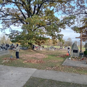 Szkolni Wolontariusze i przedstawiciele Samorządu Uczniowskiego grabią liście przy grobach  żołnierskich i Romów. Kliknięcie na zdjęcie spowoduje jego powiększenie do rozmiaru oryginalnego.