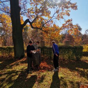 Uczniowie wrzucają liści zgrabione na cmentarzu do worka. Kliknięcie na zdjęcie spowoduje jego powiększenie do rozmiaru oryginalnego.
