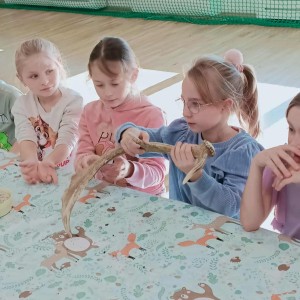 Jedna z uczennic klasy 2 trzyma w ręce poroże leśnego zwierzęcia. Kliknięcie na zdjęcie spowoduje jego powiększenie do rozmiaru oryginalnego.