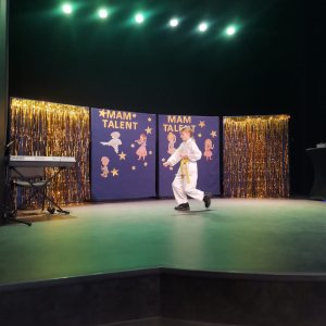 Pokaz karate ucznia w szkolnej edycji Mam Talent. Kliknięcie na zdjęcie spowoduje jego powiększenie do rozmiaru oryginalnego.