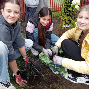 Wolontariuszki sadzą rośliny koło KBS w Szczurowej. Kliknięcie na zdjęcie spowoduje jego powiększenie do rozmiaru oryginalnego.