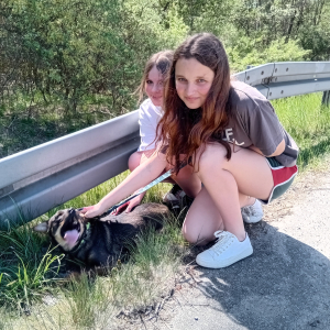 Wolontariuszki i pies. Kliknięcie na zdjęcie spowoduje jego powiększenie do rozmiaru oryginalnego.