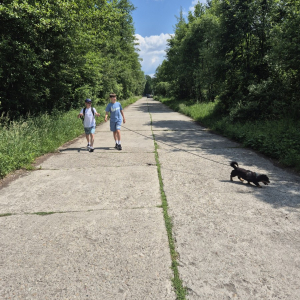 Uczniowie w czasie spaceru z psem. Kliknięcie na zdjęcie spowoduje jego powiększenie do rozmiaru oryginalnego.