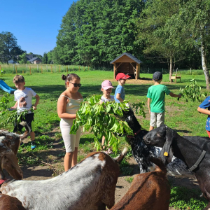 Dzieci klas 1 razem z kozami. Kliknięcie na zdjęcie spowoduje jego powiększenie do rozmiaru oryginalnego.